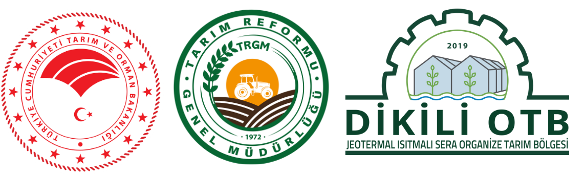 Dikili Jeotermal Isıtmalı Sera Organize Tarım Bölgesi